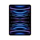 iPad Pro 11