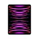 iPad Pro 12,9