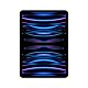 iPad Pro 11