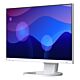 Monitor Flexscan 24