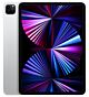 iPad Pro 11