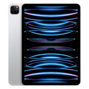 iPad Pro 11" Wi-Fi + Cellular (2022)